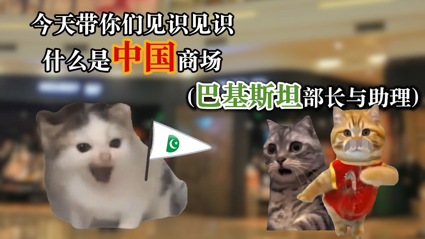 巴基斯坦部长：中国奶茶真提神啊（黑眼圈）