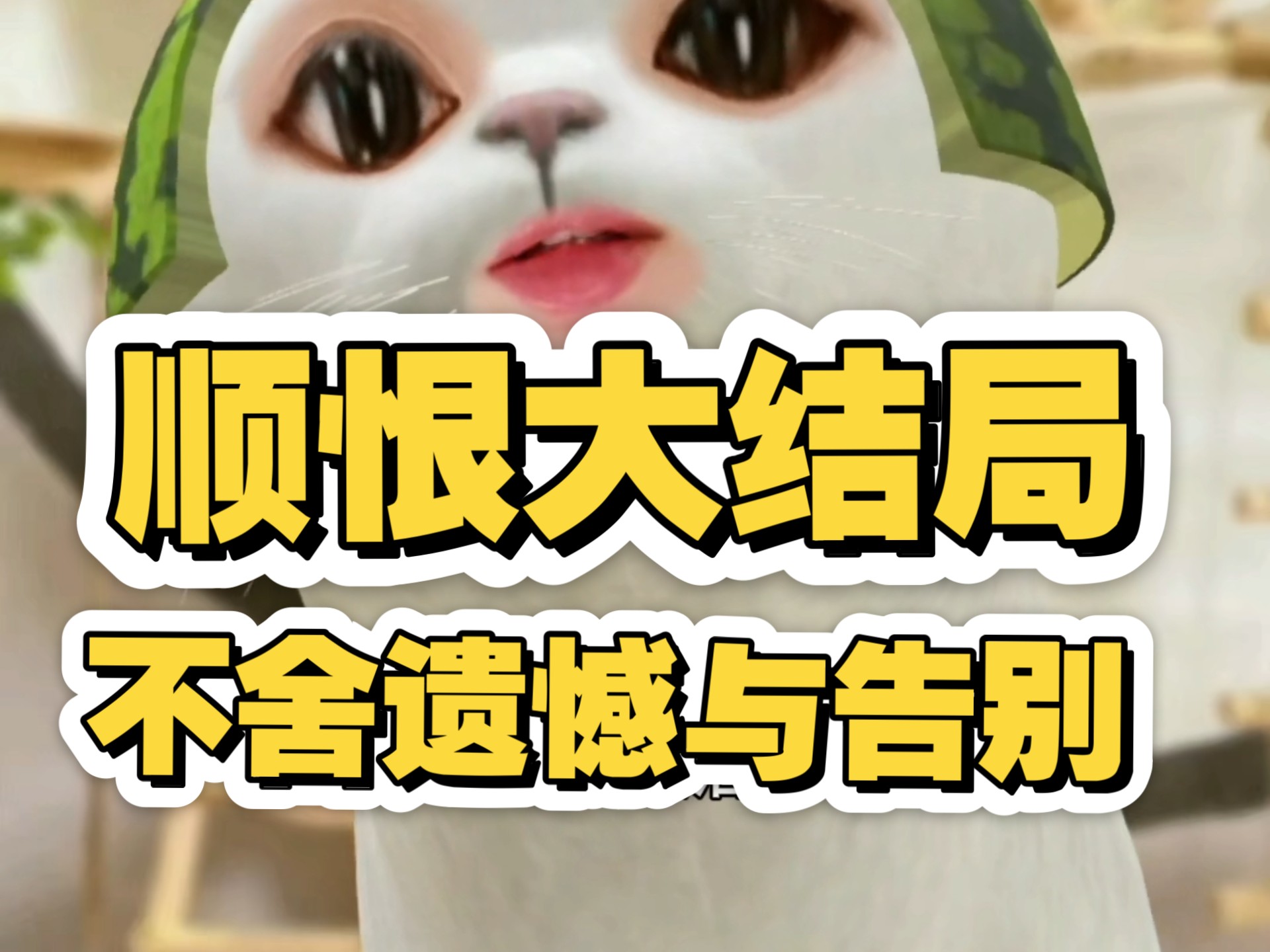 这个夏天总算特码的过完了