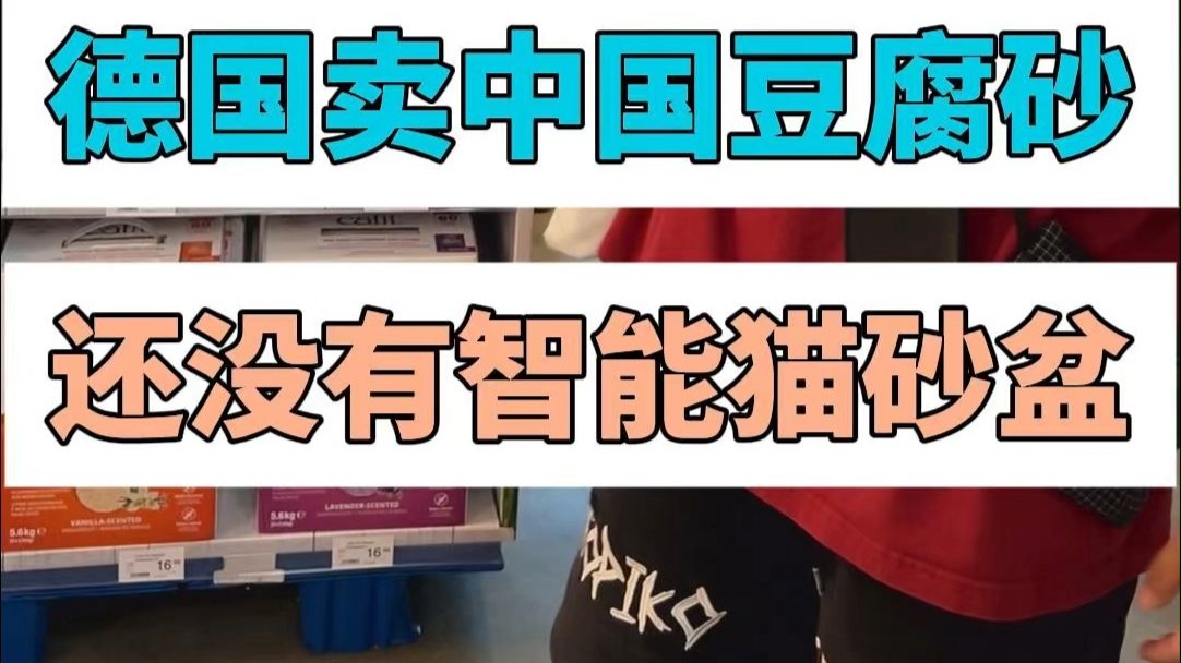 德国宠物店探店：有中国豆腐猫砂，没有智能猫砂盆