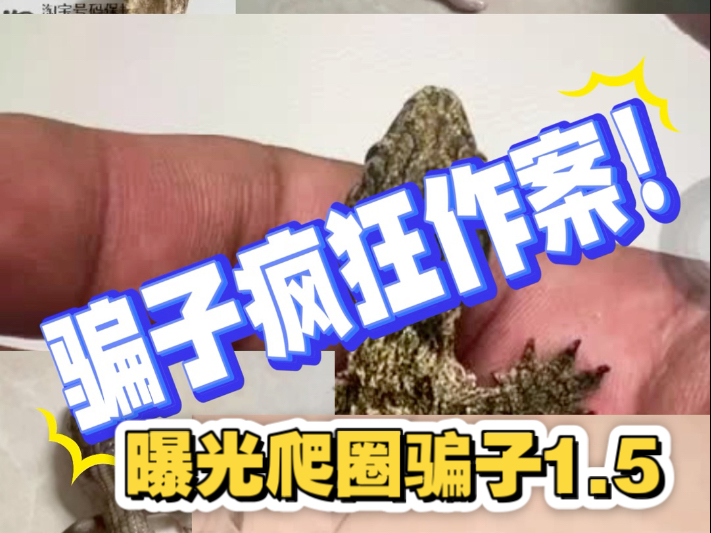 曝光爬圈骗子1.5