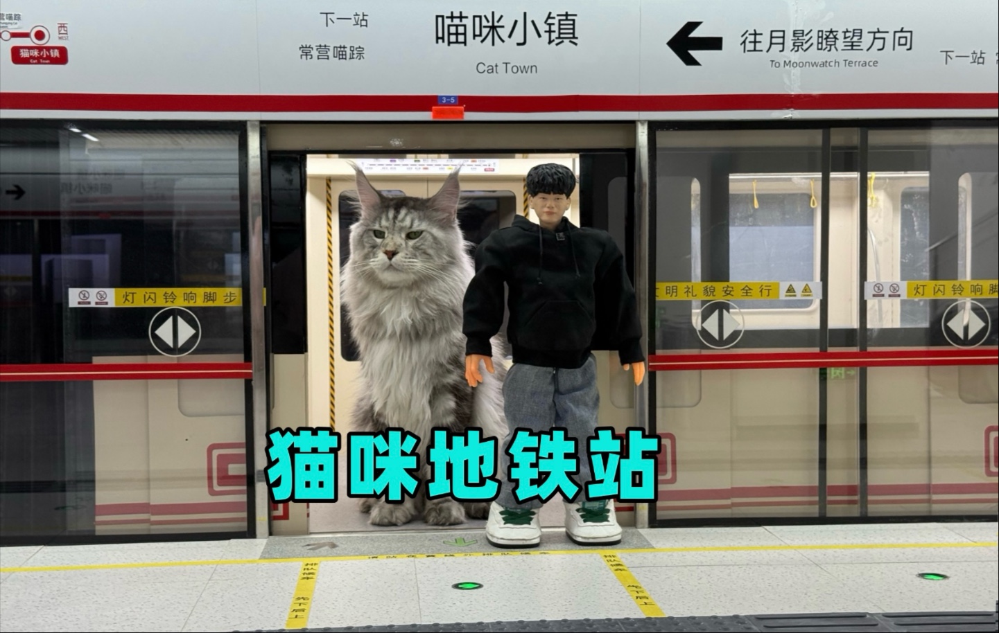 猫咪地铁站通车啦