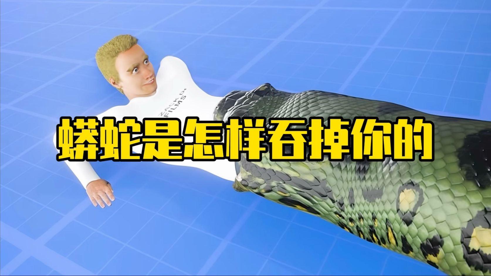蟒蛇是怎样吞掉你的？