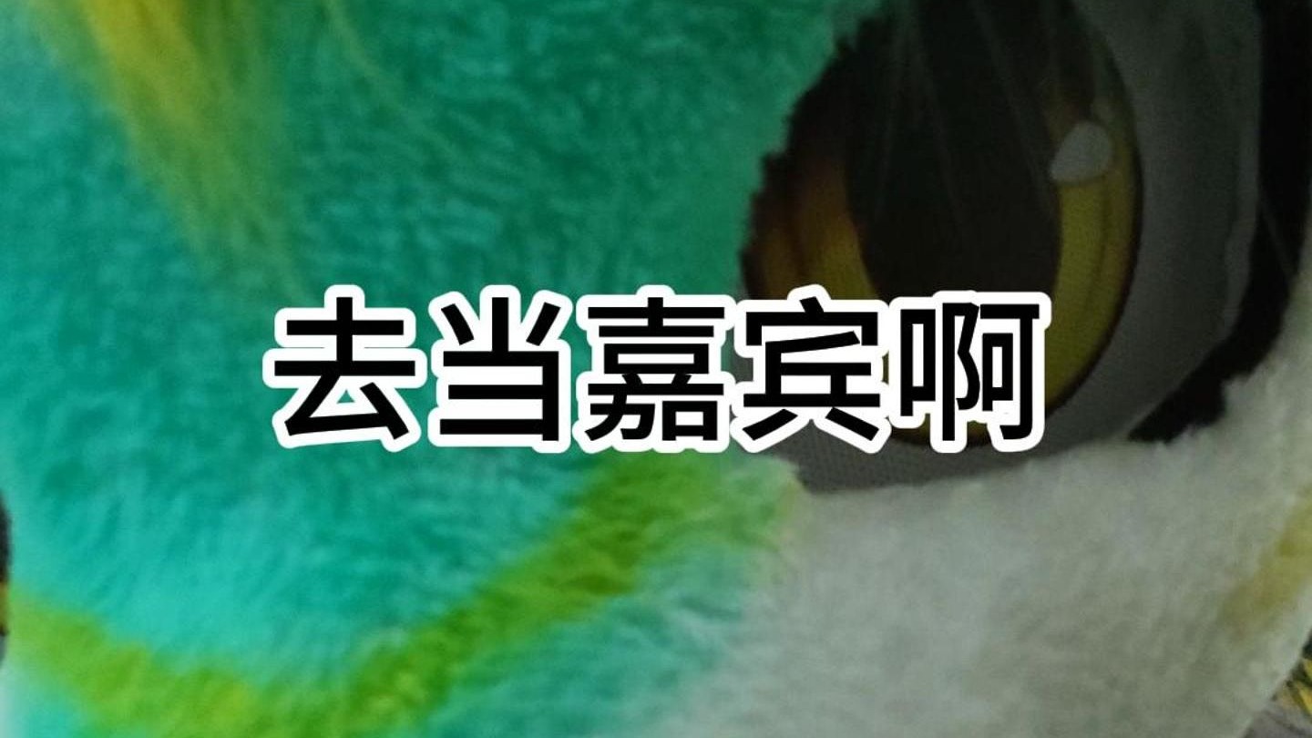 关于兽聚采访节目的一些问题回应