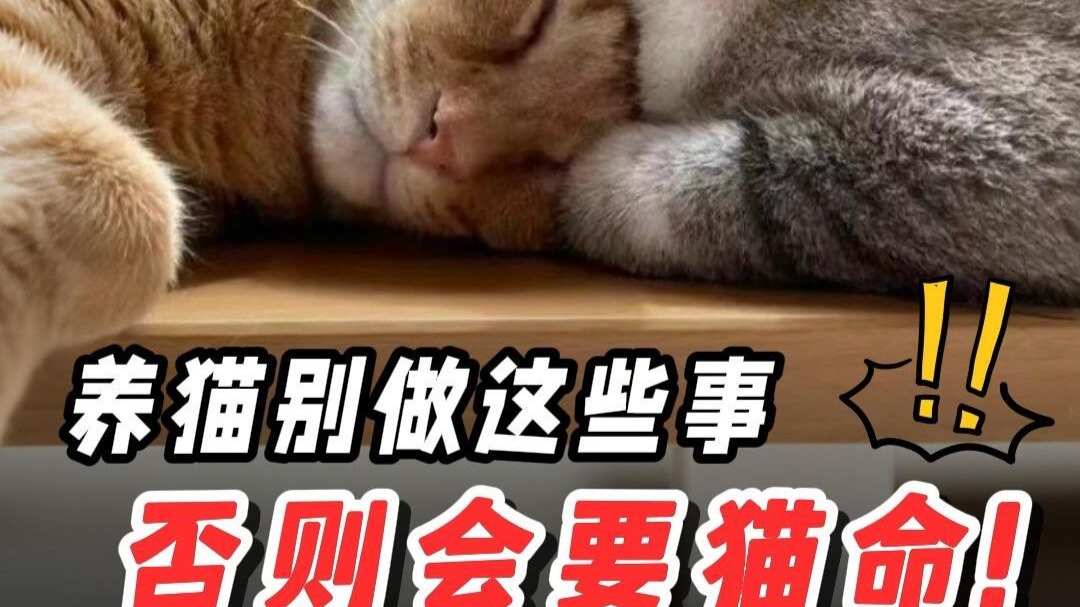 惊❗猫咪不会告诉你的5大秘密，关乎生命安全❗