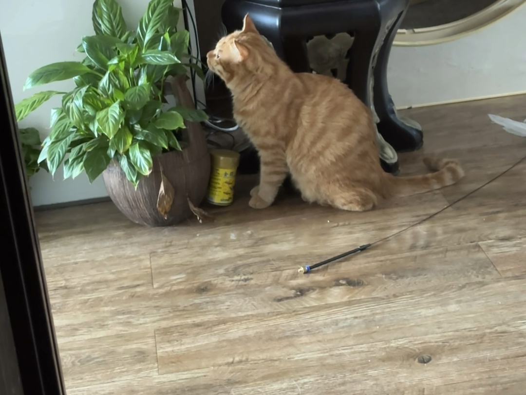 总趁我最虚弱的时候淘