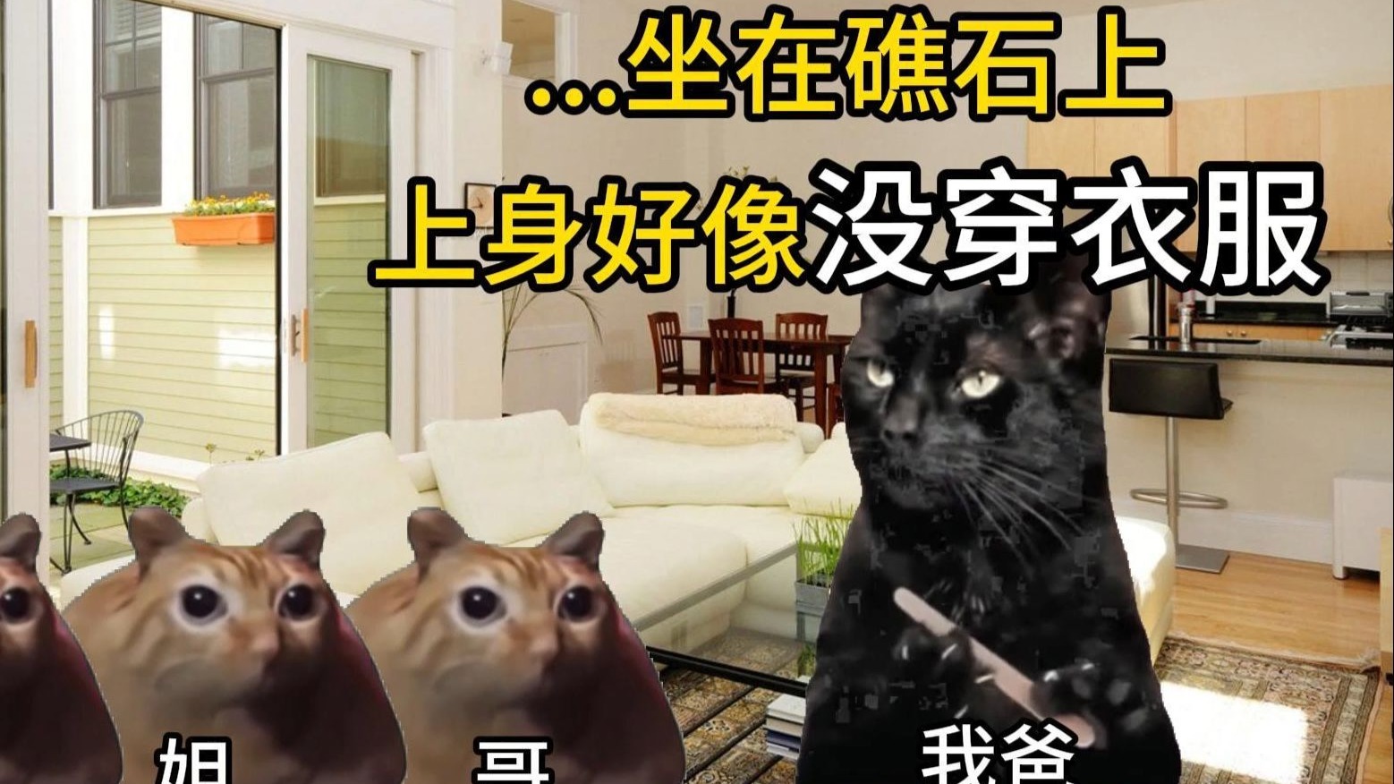 【猫meme】爸：我啊，可是见过美人鱼的哦！