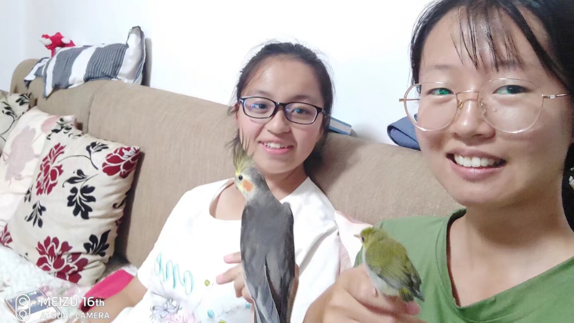 在那个漫长的疫情暑假，捡到了一只玄凤鹦鹉一只小绣眼