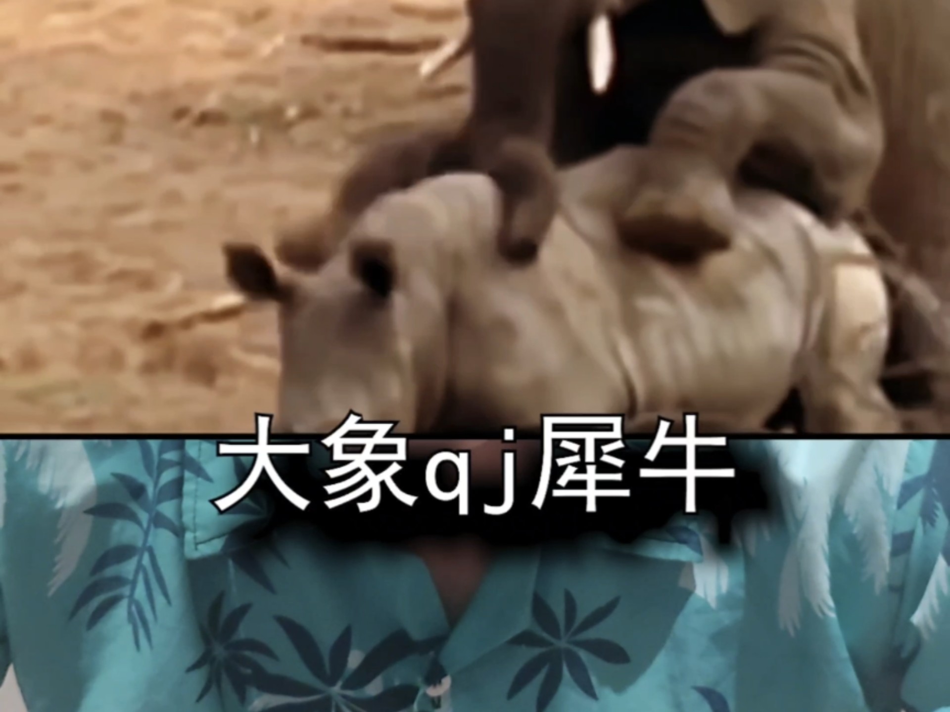 虐待动物有错吗？细想了一下，到底错哪了呢？