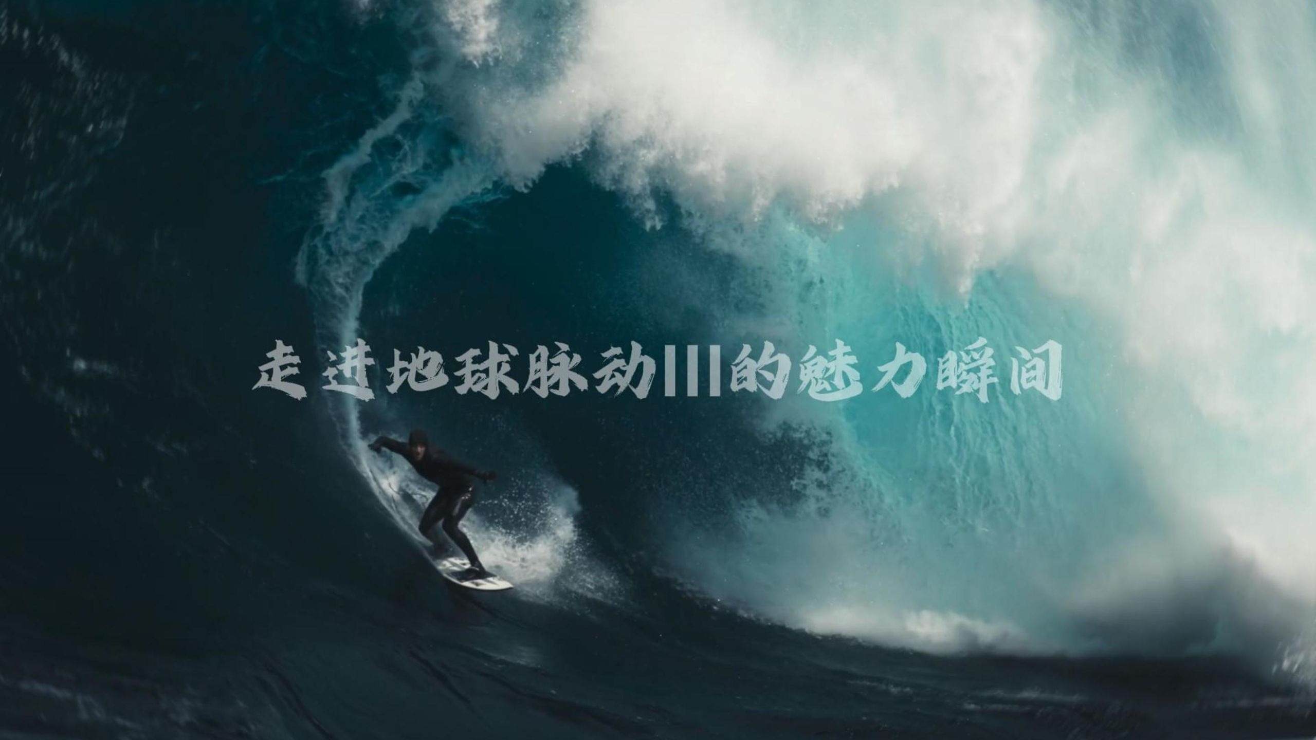 “是它让足不出户的我也能了解世界”