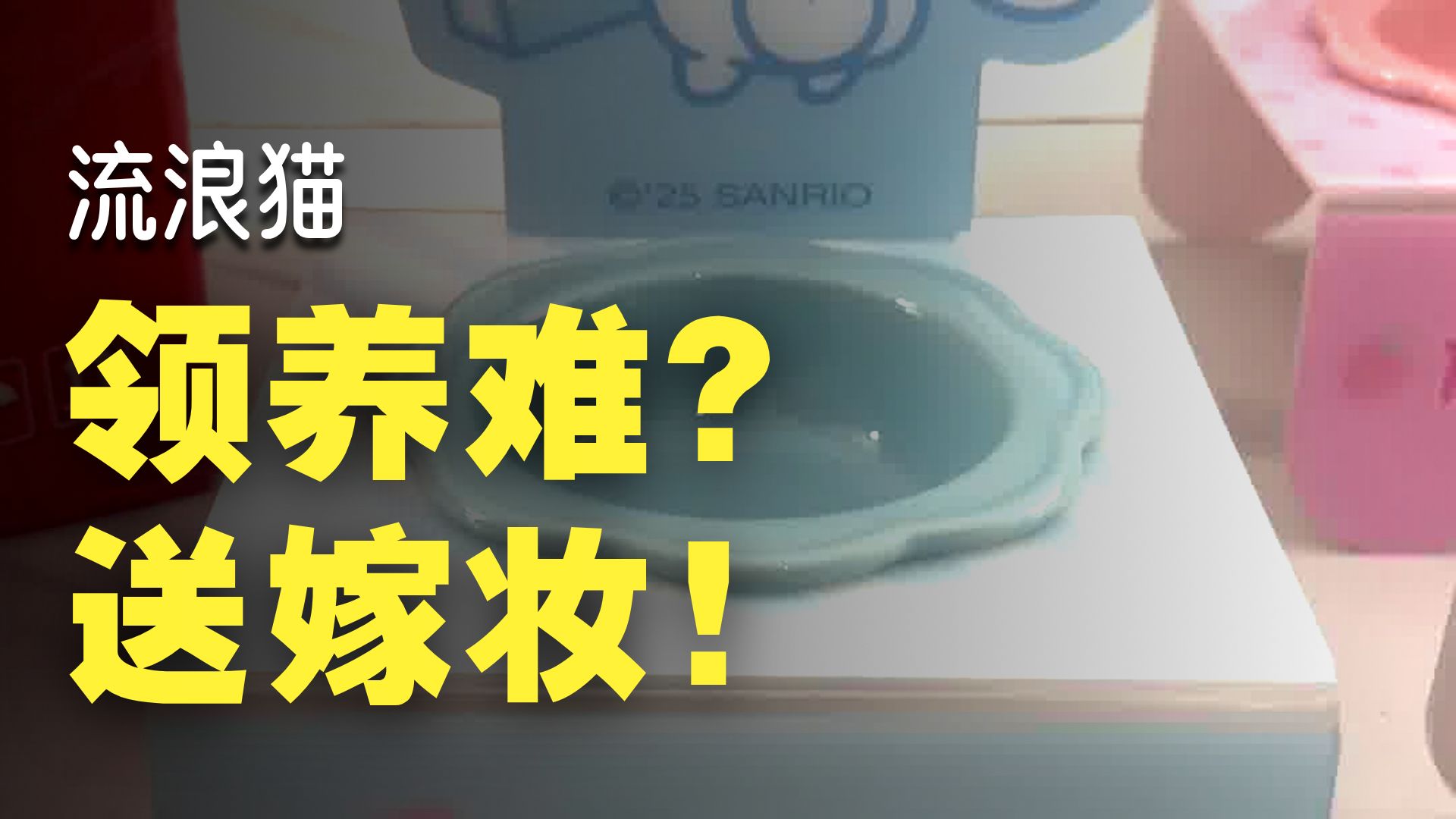 没人领养？我多准备点嫁妆行不行？