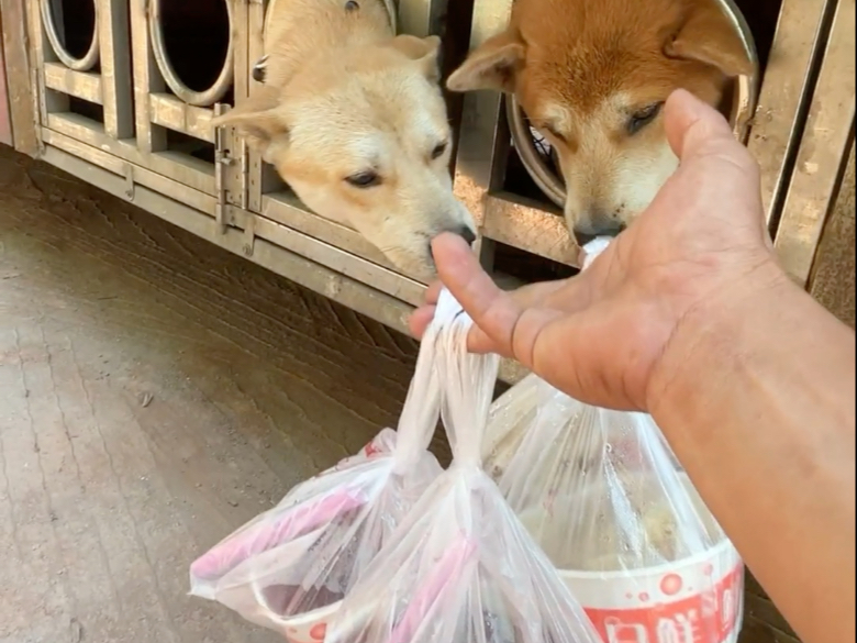 吃早餐了