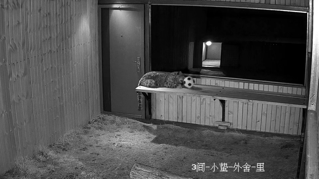 凌小蛰日常（6.26）