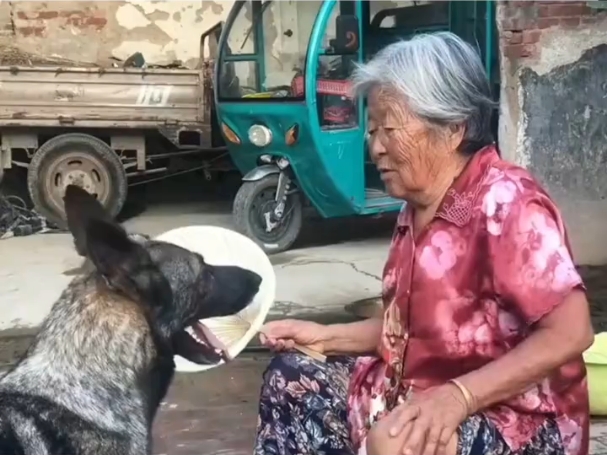 人走狗受不了，狗走人受不了