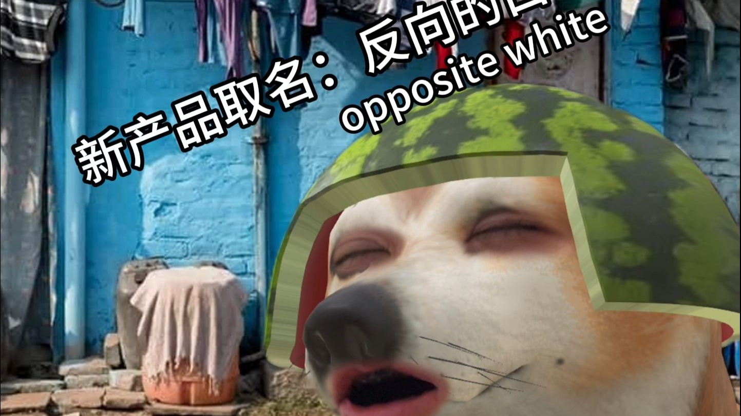 孟买主理人（狗）店: 这款叫 反方向的白