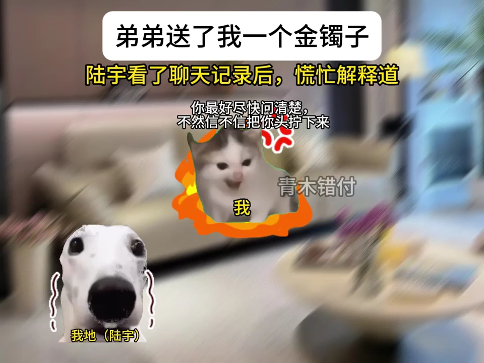 弟弟送了我一个金镯子