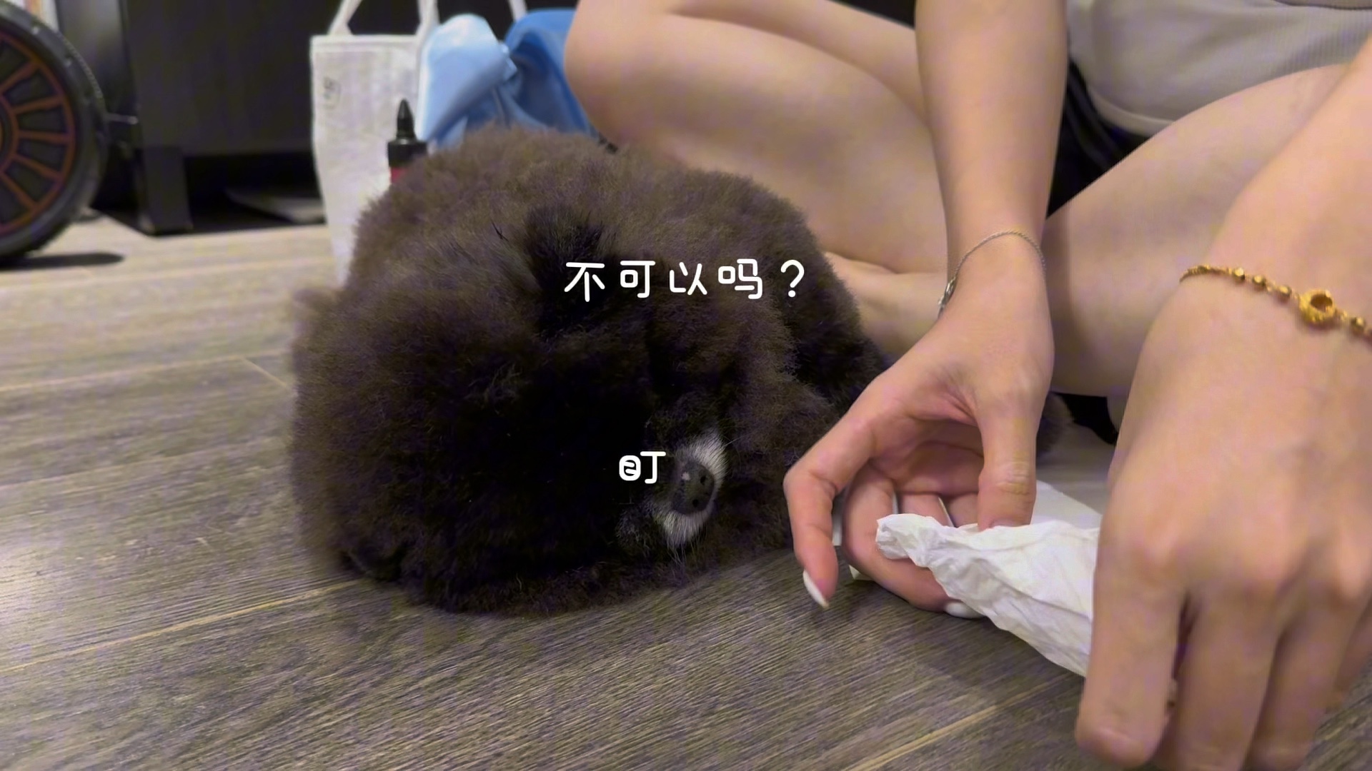 小狗可以不洗耳朵吗？就脏脏的可以吗？