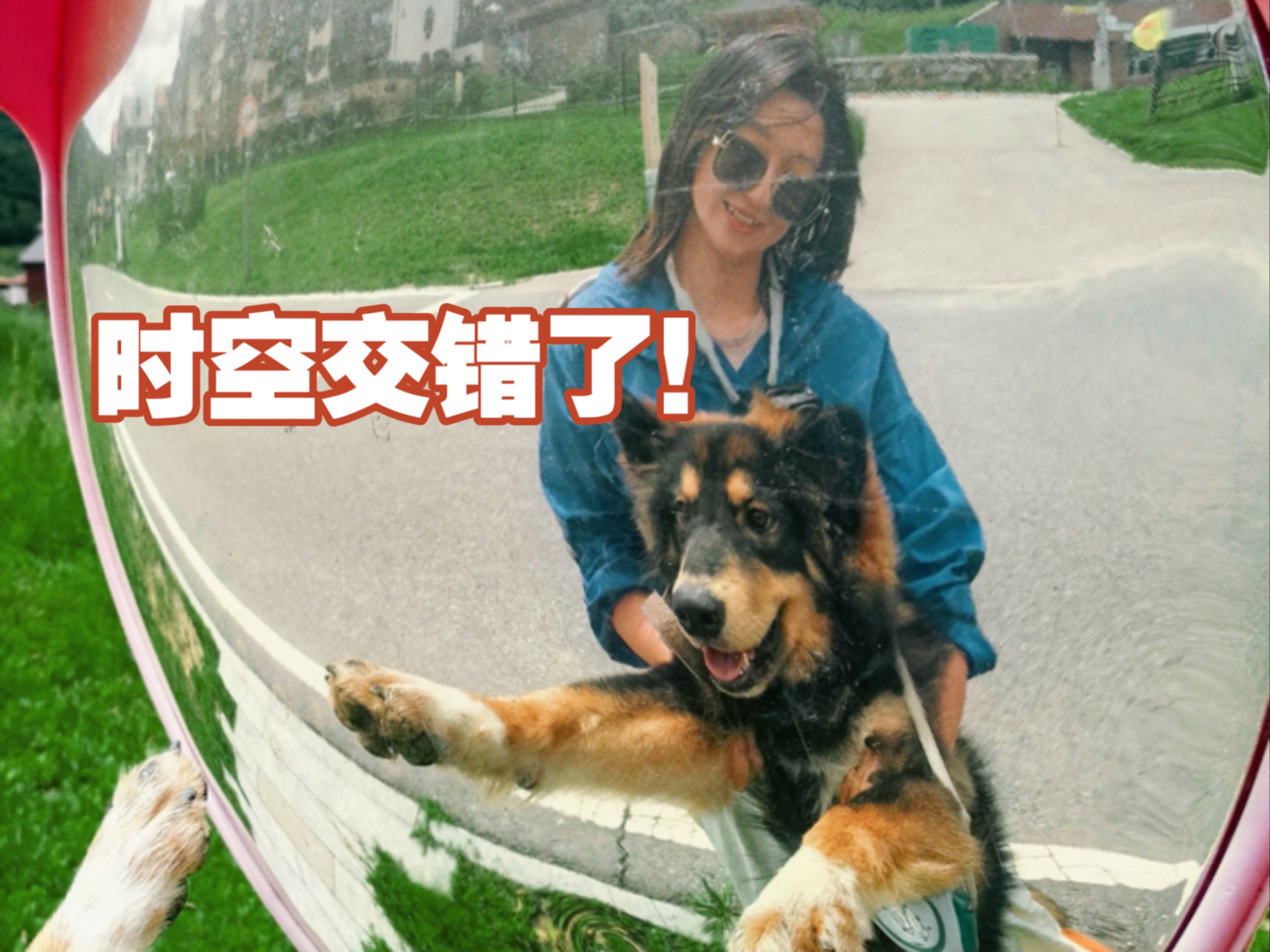 带小狗去了有意义的地方