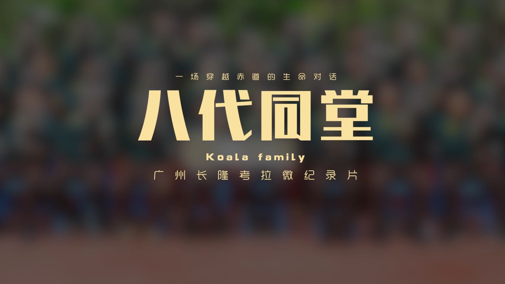 长隆考拉《八代同堂》| 微纪录片