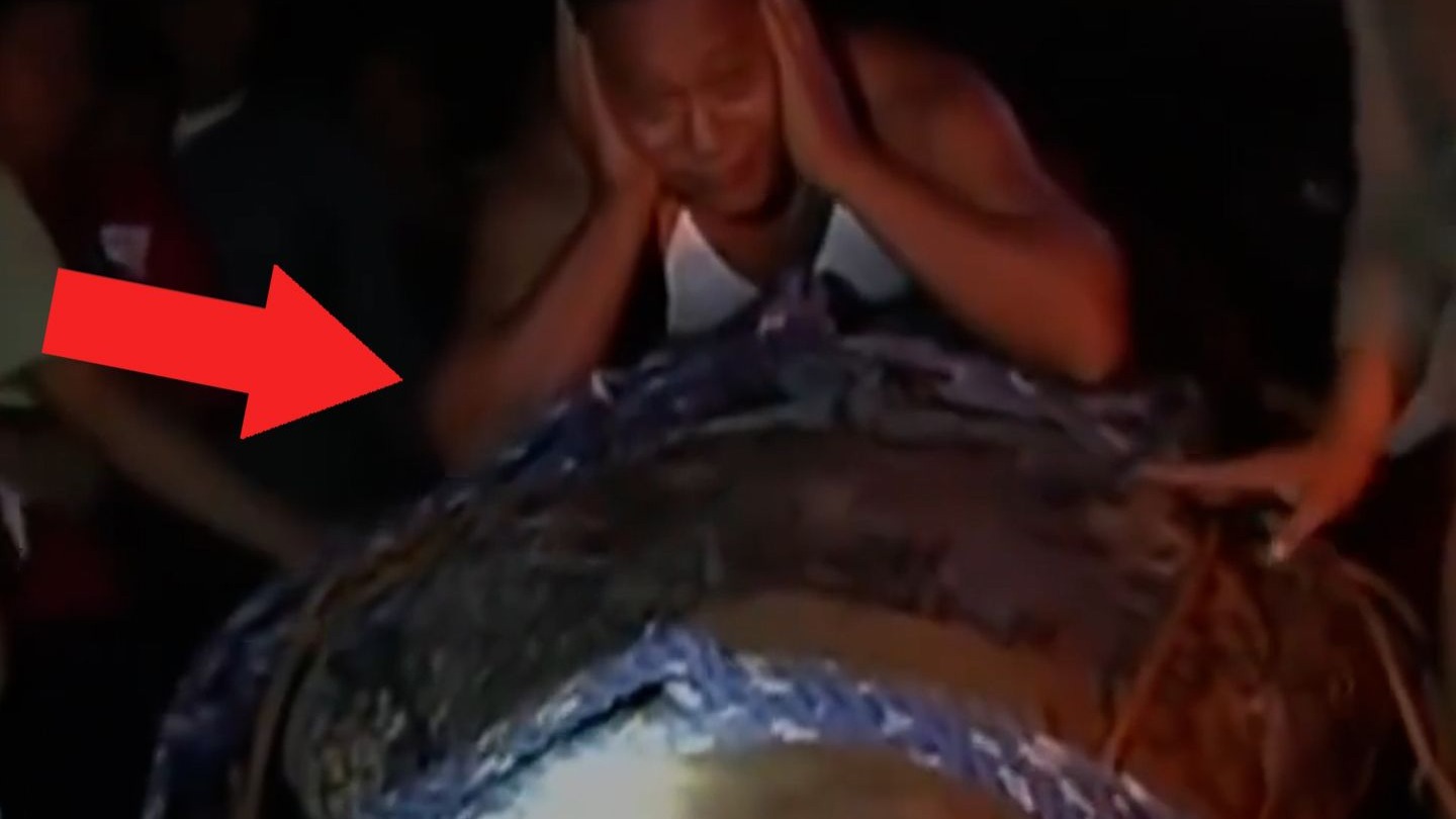 成精的動物有多可怕！|恐怖、詭異、離奇的視頻片段！