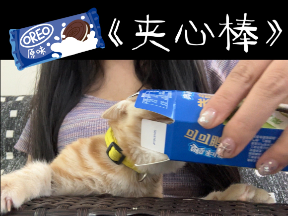 No！咪不小心吃了夹心棒！