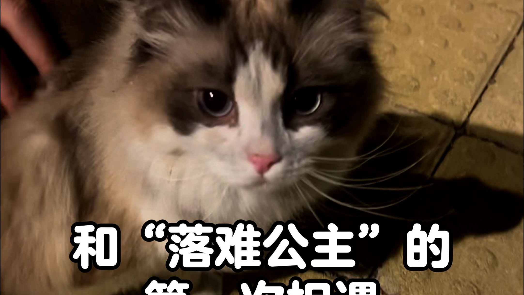 和“落难公主”的第一次相遇，平常10分钟走完的路，那天我走了30