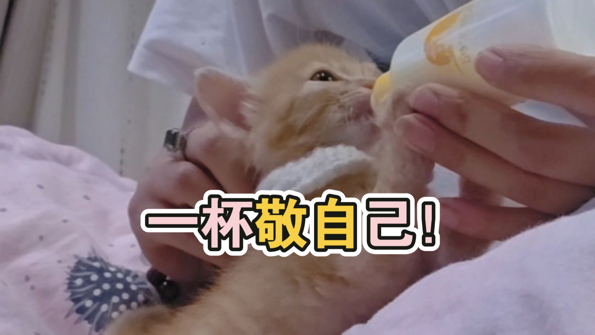 一杯敬自己！下杯还敬自己！