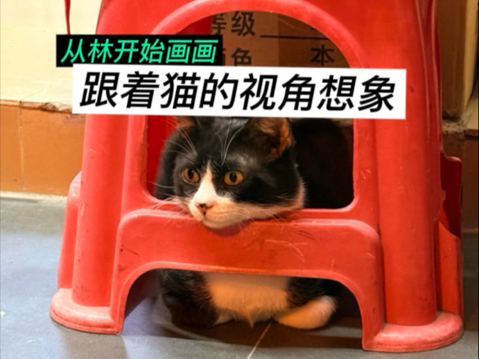 换位思考，换到猫的位置