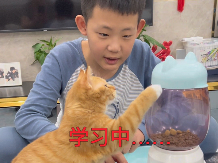 小咪学习按踩食器