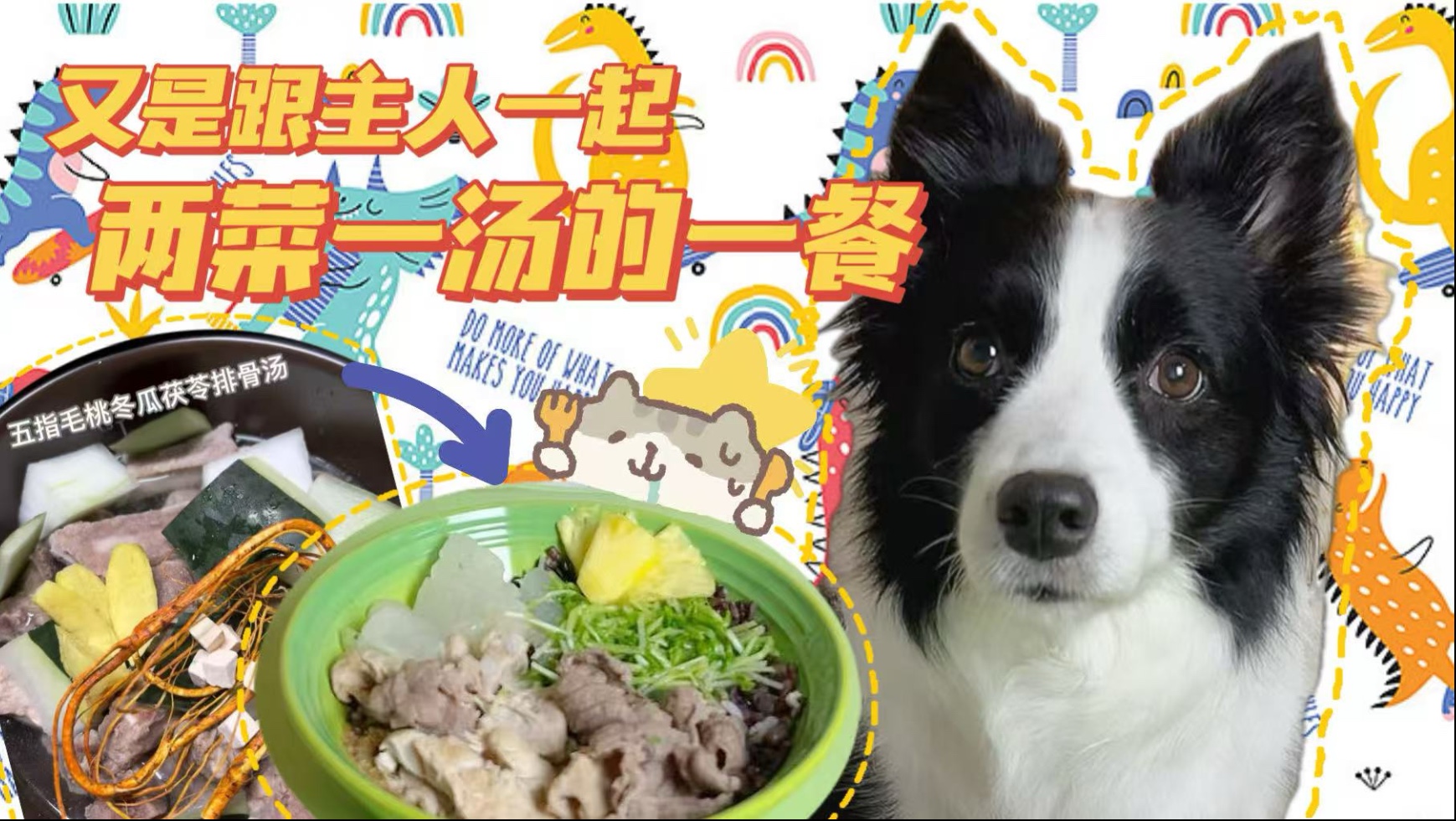 老年犬带主养生之:五指毛桃茯苓冬瓜排骨汤