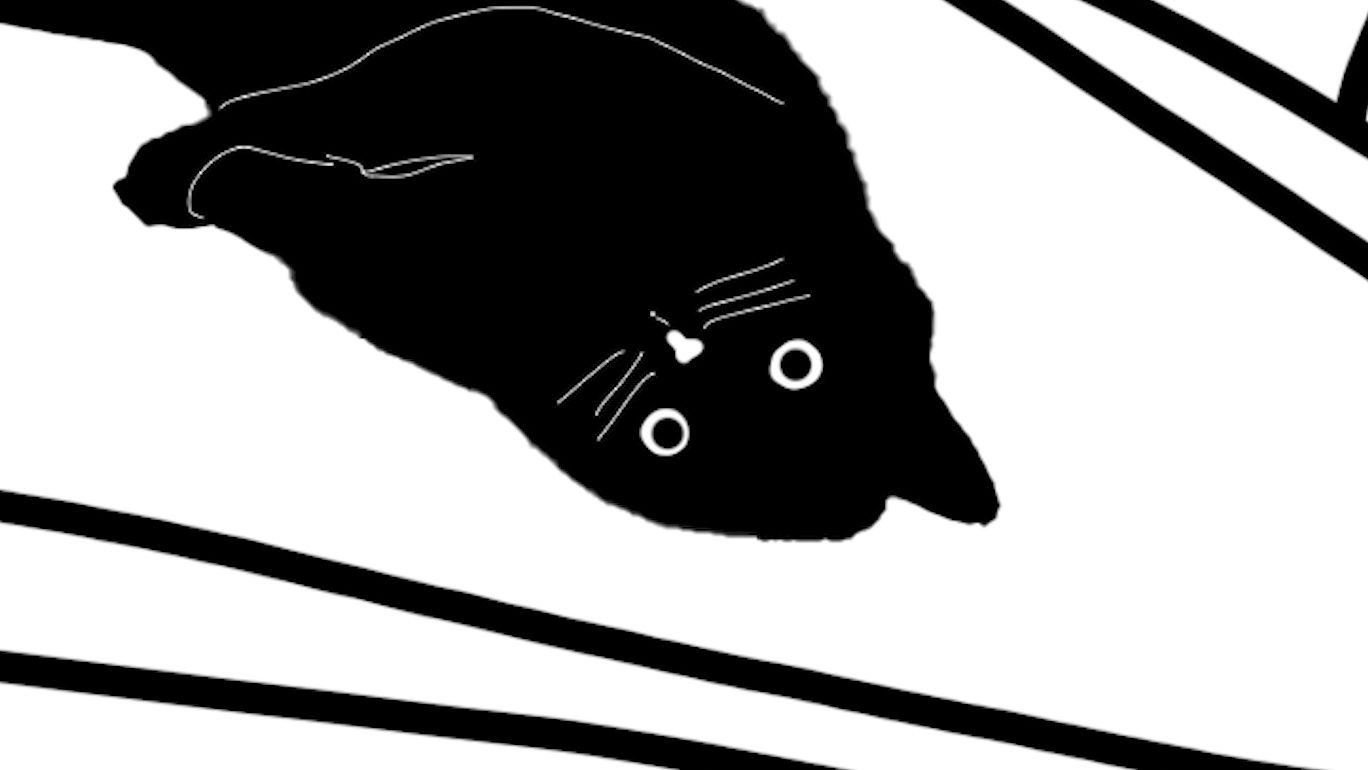 【b猫日记】新猫刚来五点天赋一定配置好。后面事特别少
