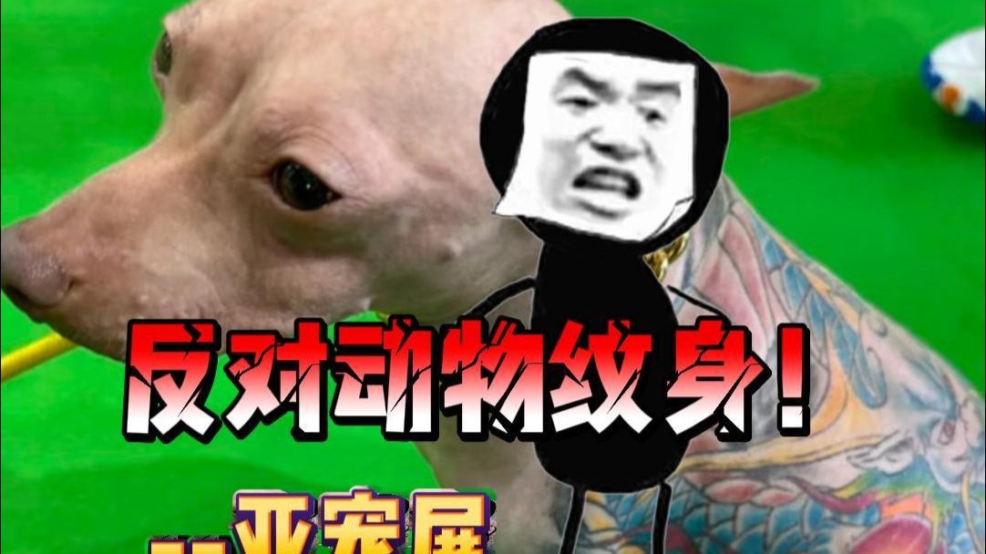 好心疼，纹身狗不是个例！需要大家重视起来！