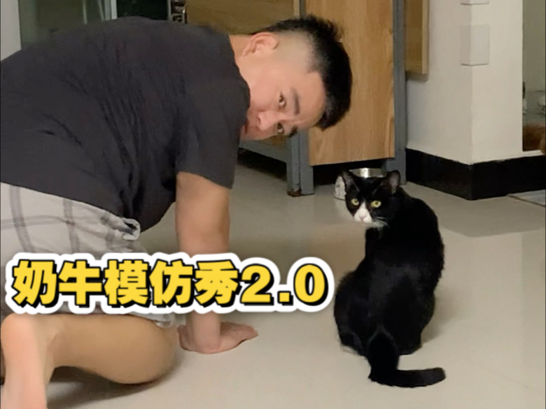 关于我老公莫名其妙的模仿秀2.0