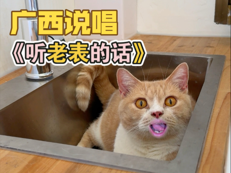 广西说唱《听老表的话》