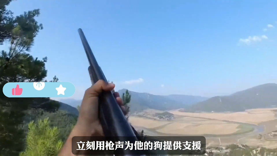 狼与牧羊犬的较量：牧民用独特方式记录狗追狼