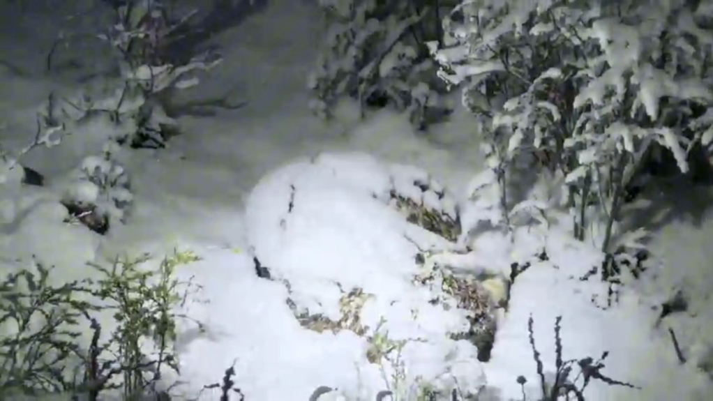 凌小芒救护记录（初遇）