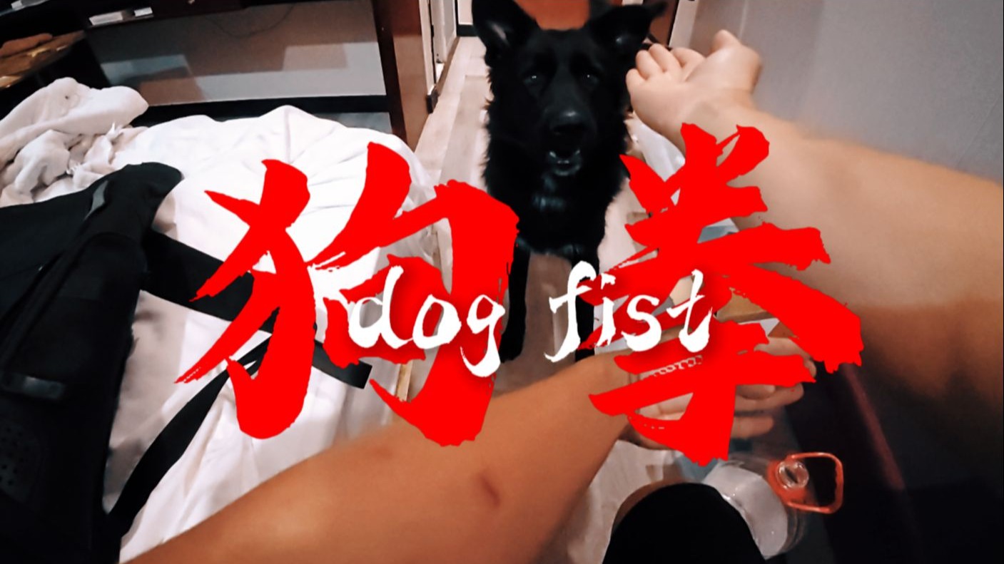 狗拳怎么打