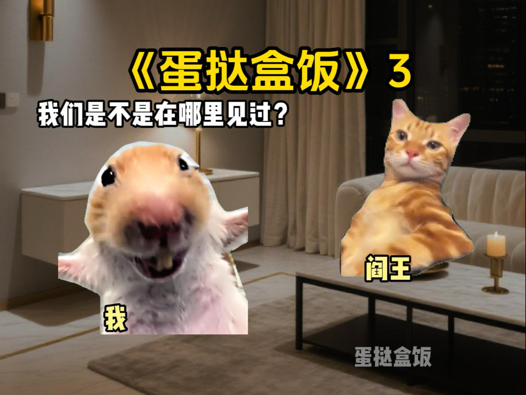 《蛋挞盒饭》3.0