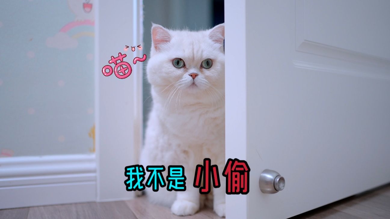 我不是小偷，我只是想奶奶了