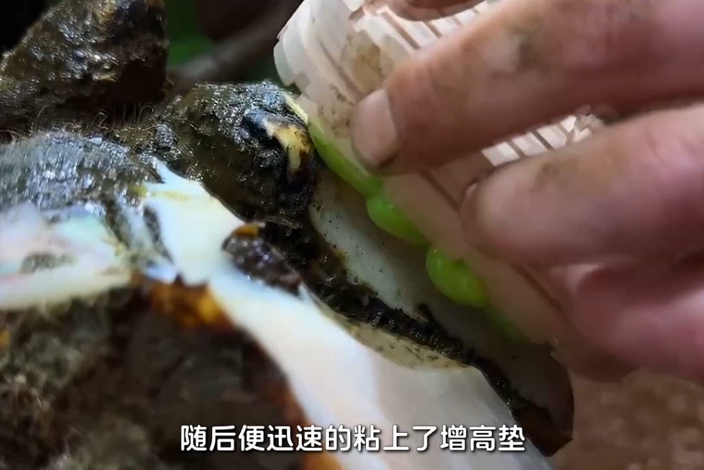 解压视频修牛蹄