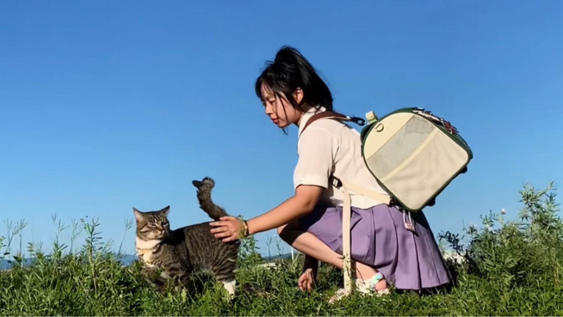 山里遛猫  蝉鸣 阅读 独处 静气 慢下来 自由