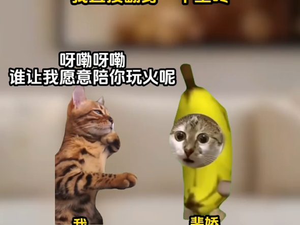 恶毒女配是我闺蜜《团宠跟班》第20集