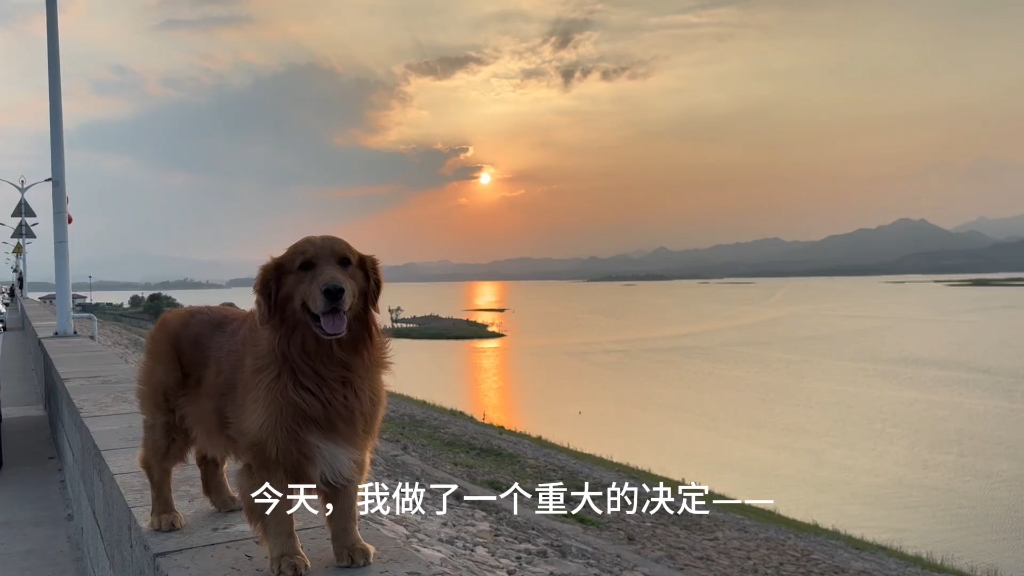 注销了七万多粉丝的账号，一切又回到了原点！