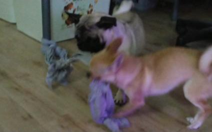 年轻有的是力气和手段