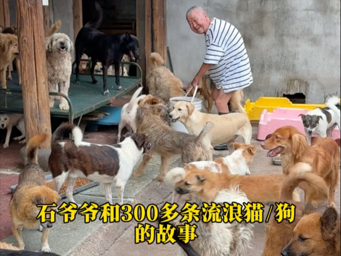 那天我认识了一位了不起的爷爷