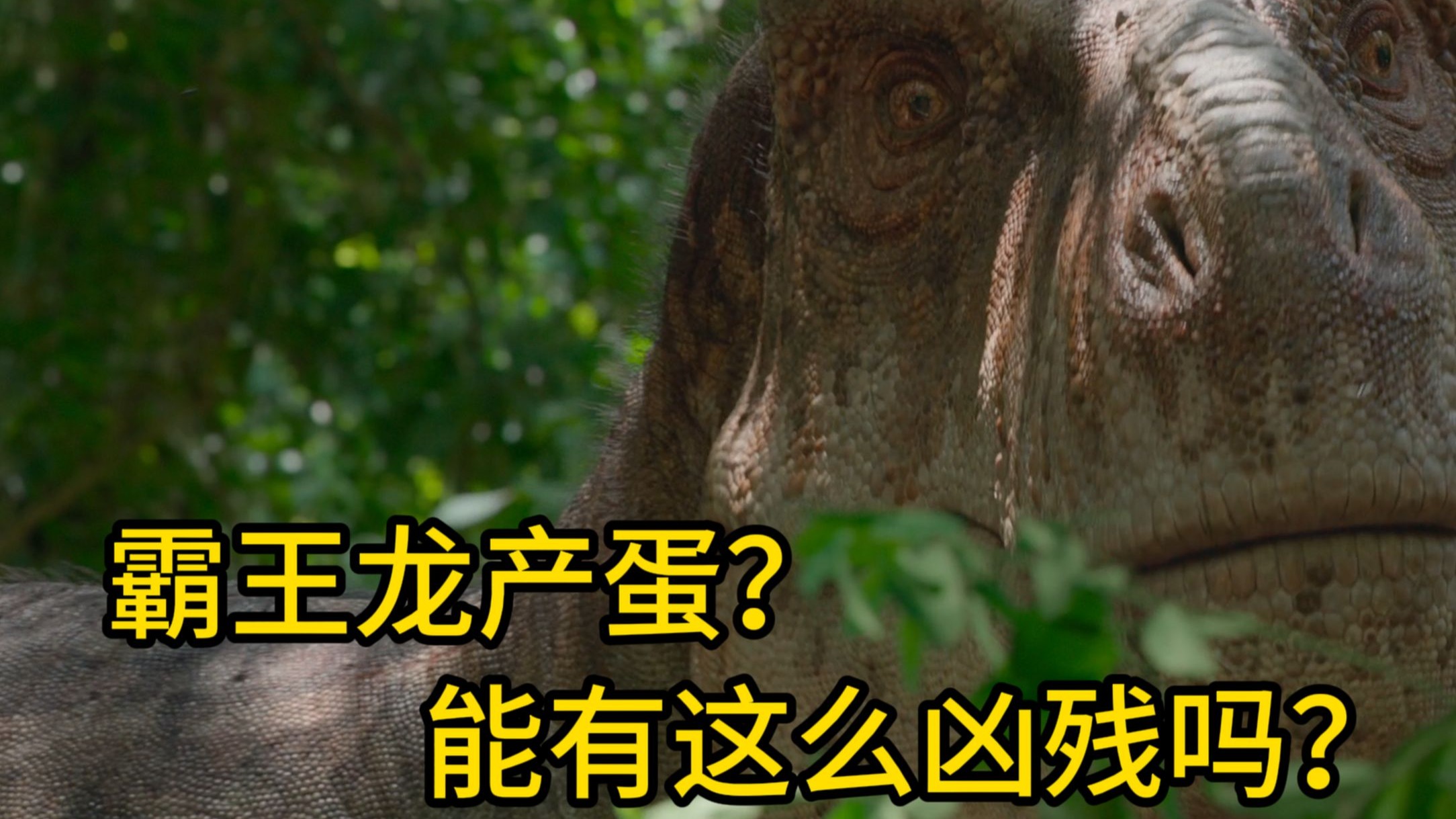 听说霸王龙生孩子这事已经瞒不住了？那必须来看看怎么回事