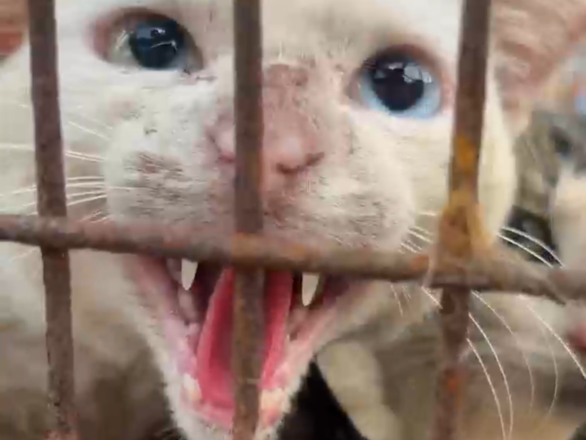 六年，我们从未停手，他们从未收手