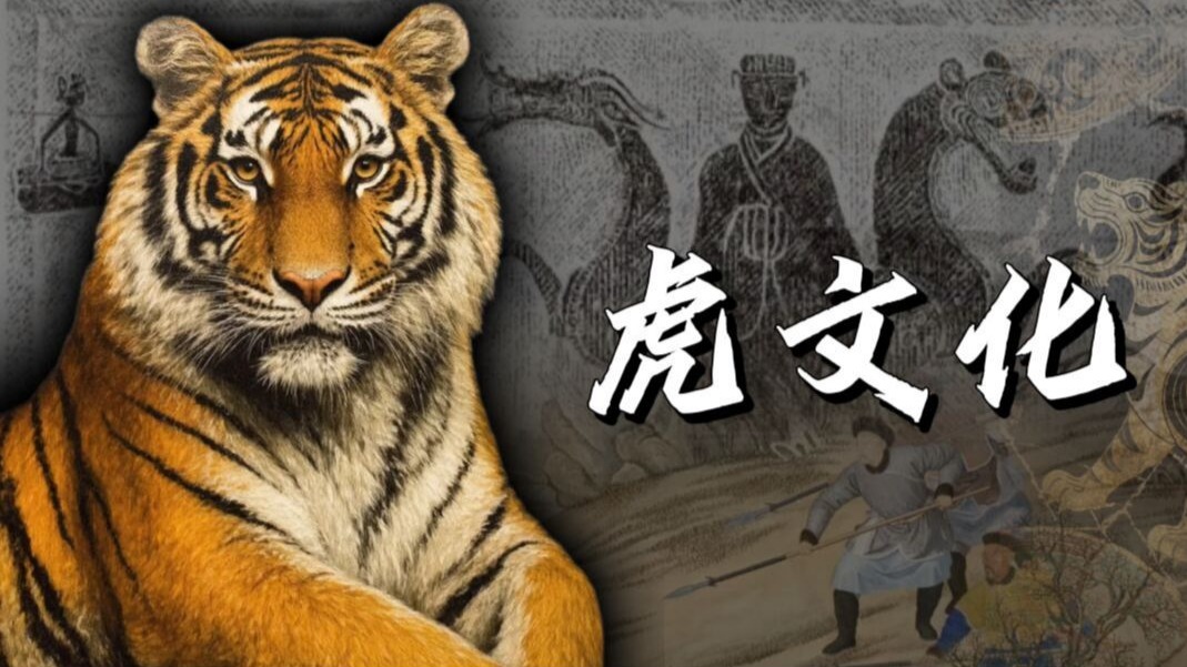 我国虎文化的演变