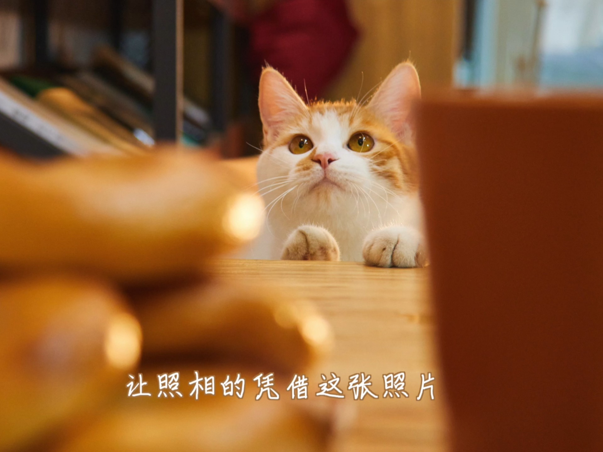 爱出者爱返，你给我一个家，我助你拿大奖