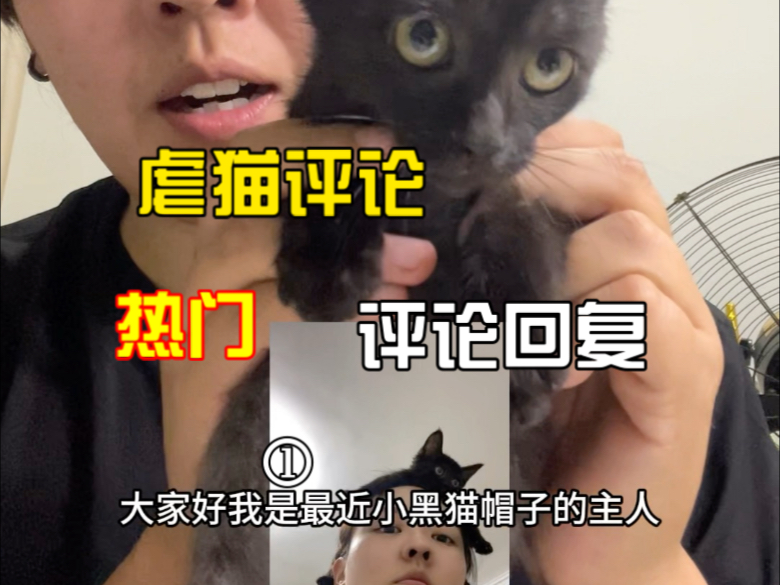 虐猫评论回复