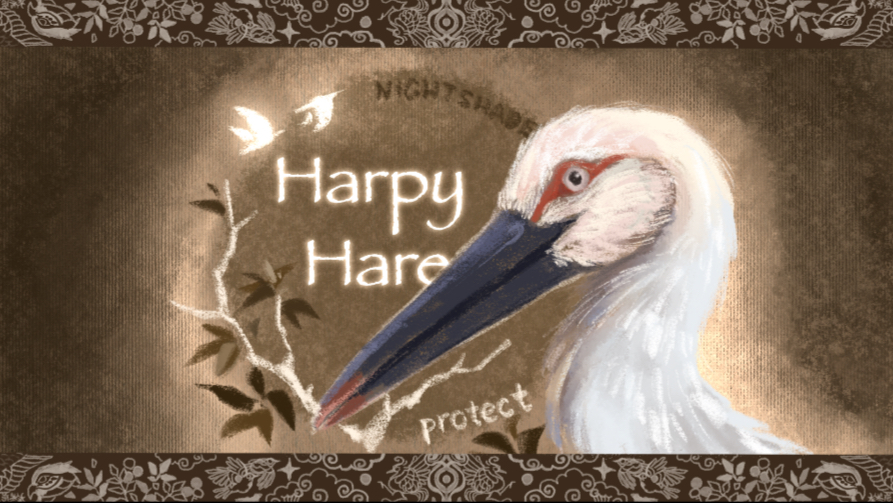 【鸟类手书】Harpy Hare—你也见过这羽翼